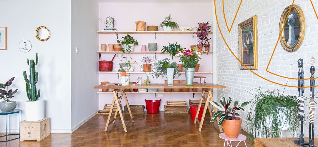 6 plantas ideais para cultivar em apartamentos e edifícios comerciais